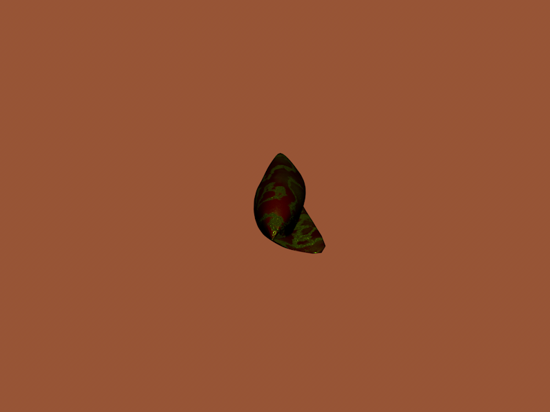 shell