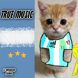 True Music Addon: ¡Argentina Papá! – Project Zomboid Mod
