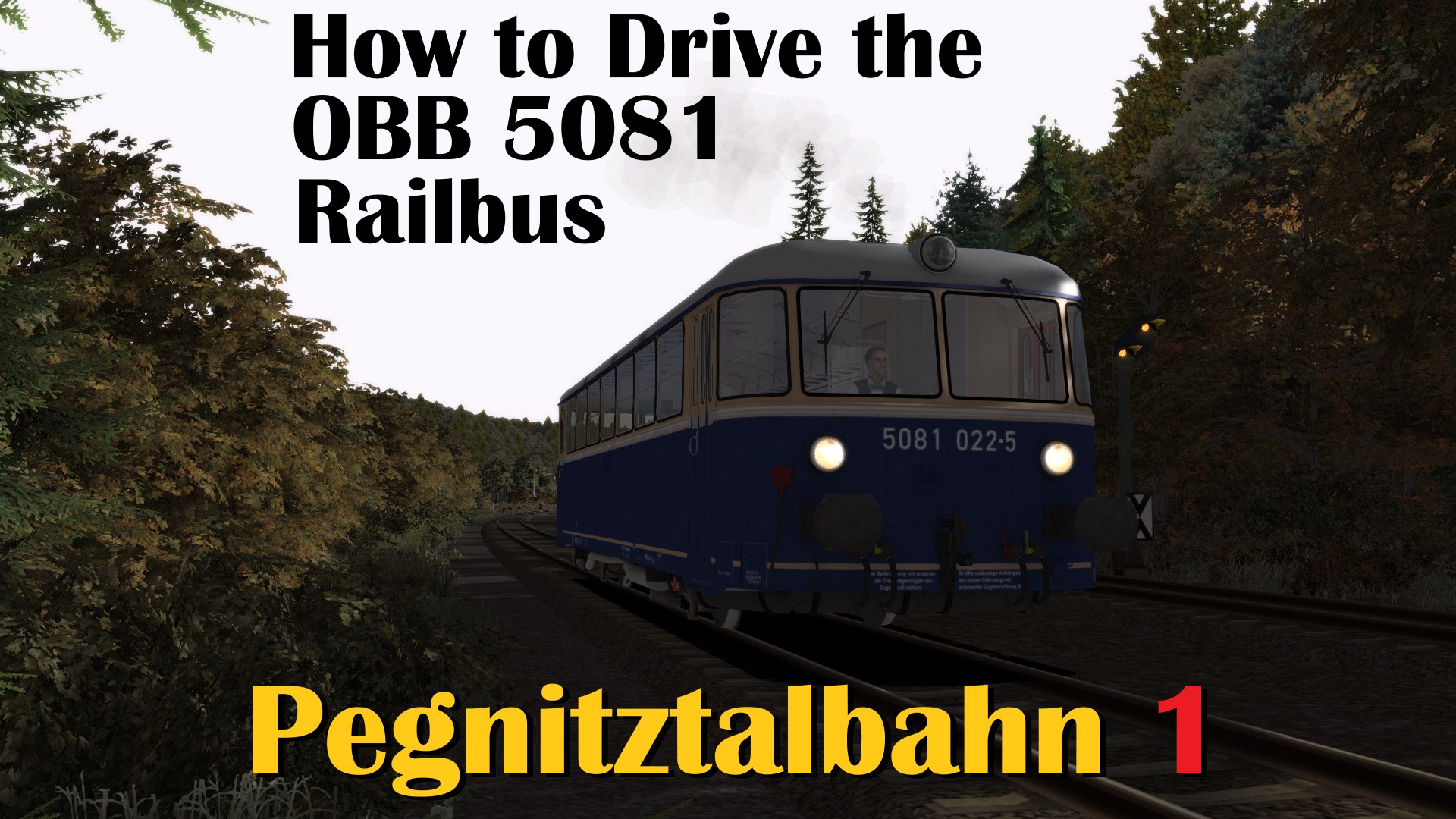 N.S1161 Pegnitztalbahn - Driver Training OBB 5081 Railbus