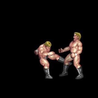 川田式ローキック / Low Kick B (Kawada Style)