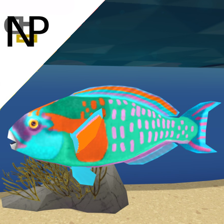 Nerdy Penguin Aquatics - Bower's Parrotfish