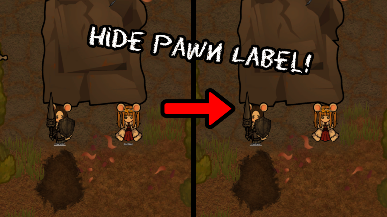 Hide Pawn Label