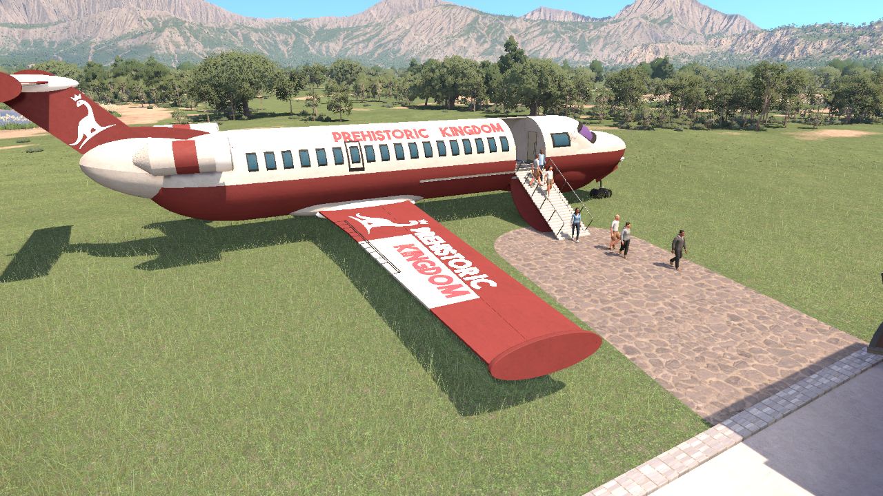 VISITOR ARRIVAL AIRPLANE