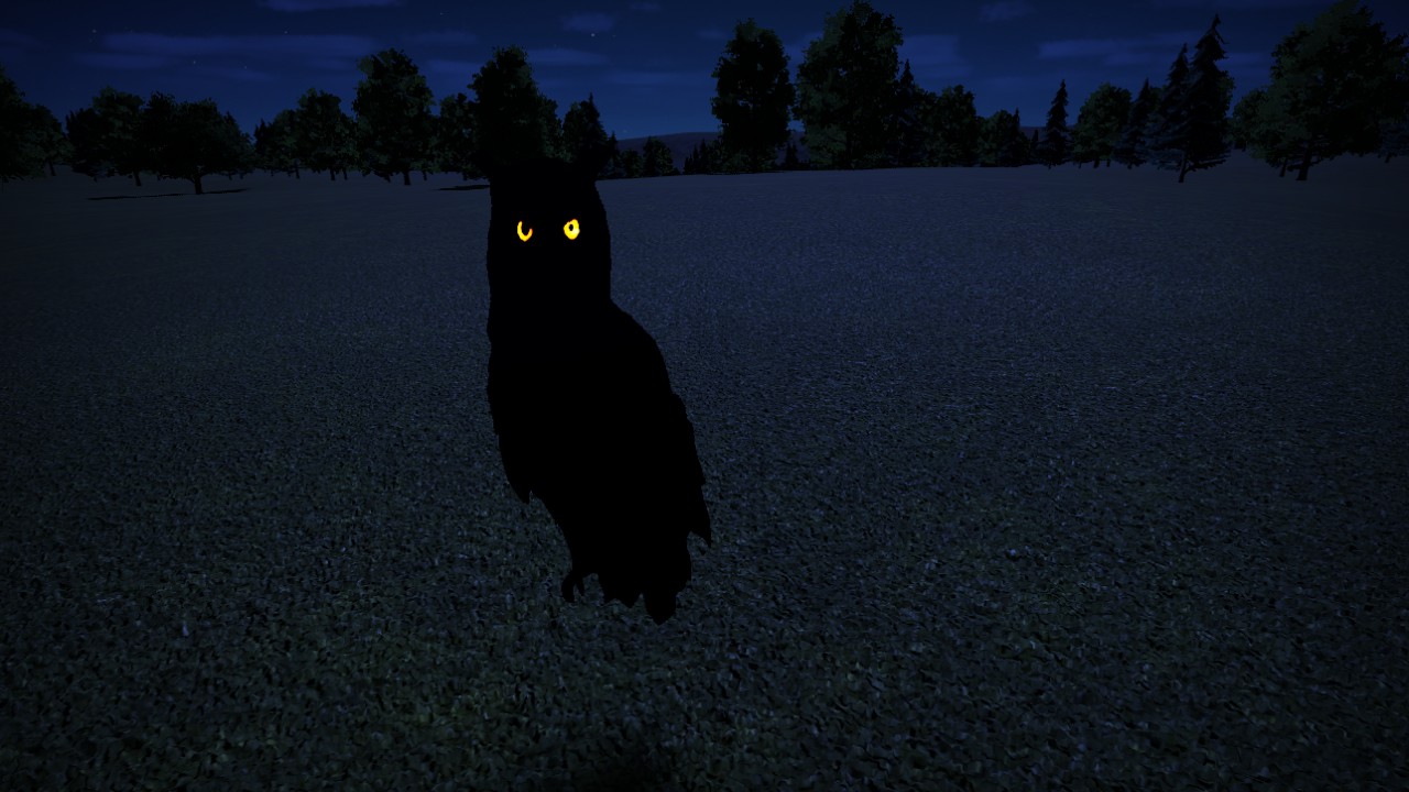 OZ-HauntedForestOwl03