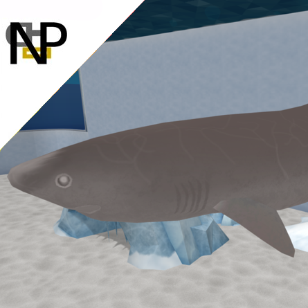 Nerdy Penguin Aquatics - Greenland Shark