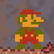 mario pet preview