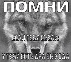 EFK