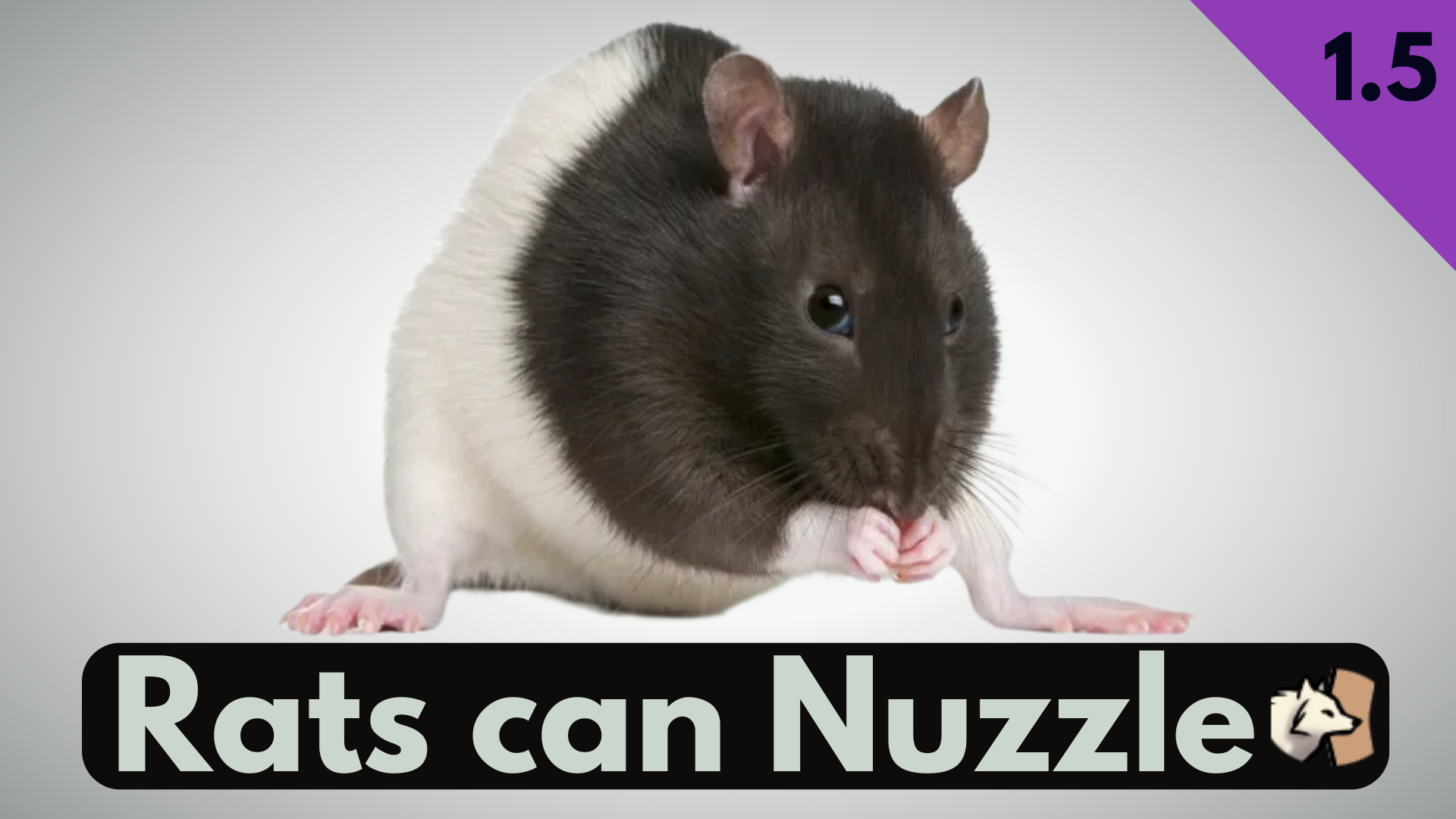 Karmi's Patches - Rats can Nuzzle
