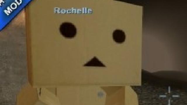 Danboard over rochelle
