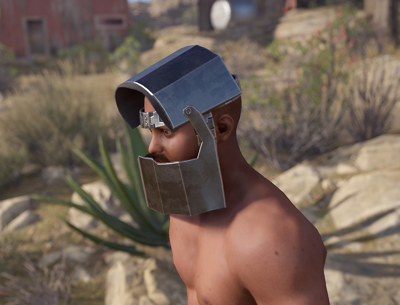 Cyberhelmet