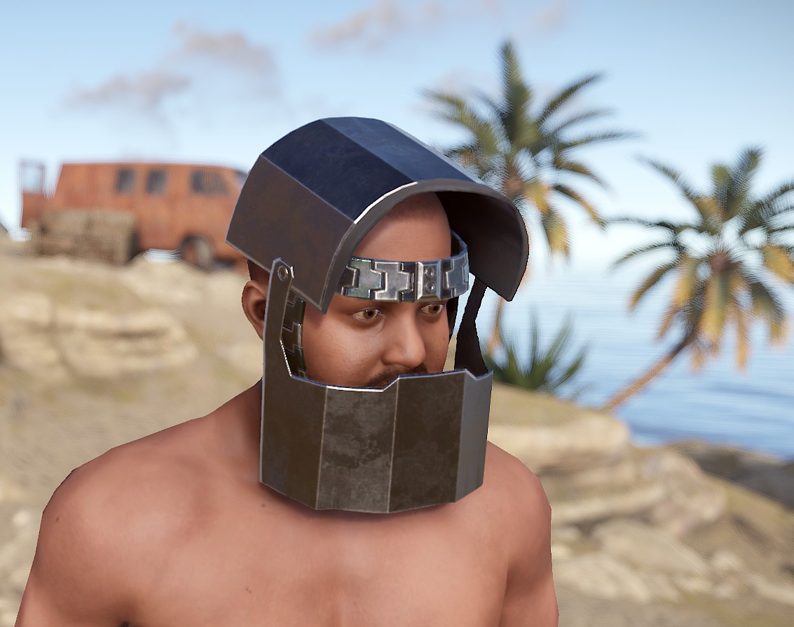 Cyberhelmet