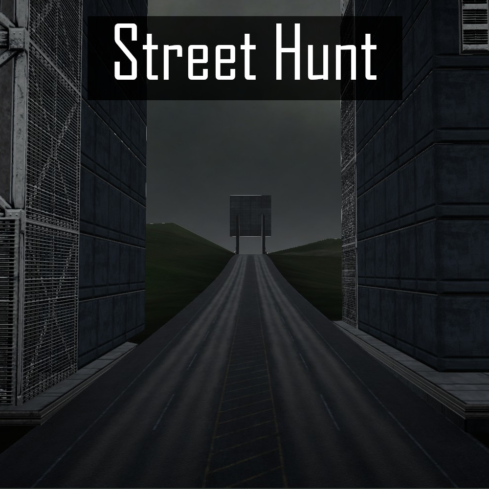 Street Hunt