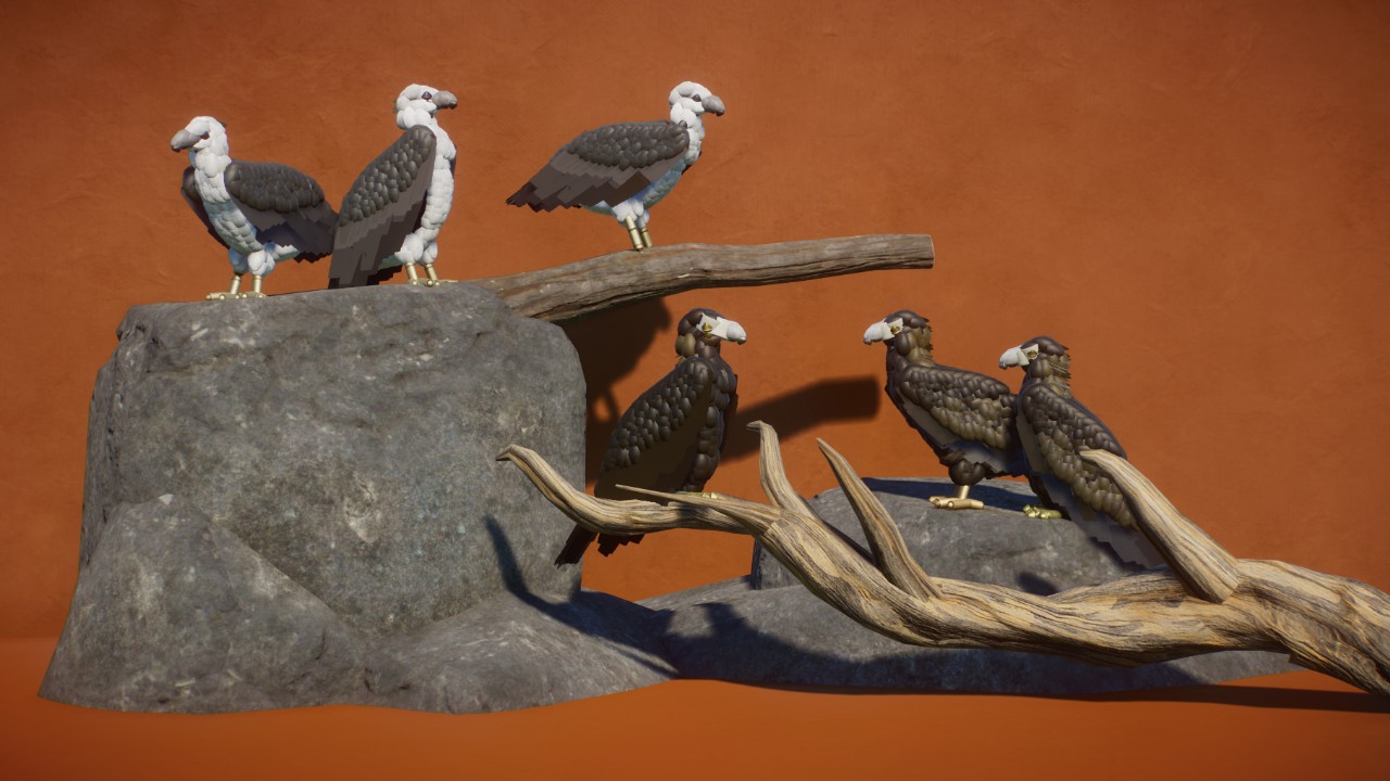 Robustus' Oceanian Eagles