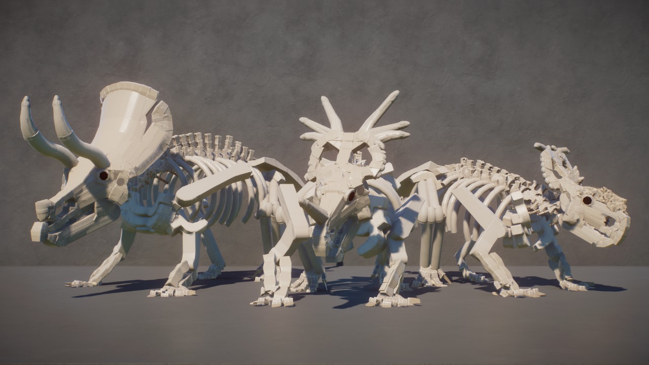 Ceratopsids - Static Poses