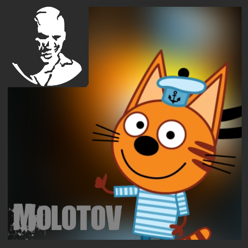 Cookie/Коржик the cat over molotov