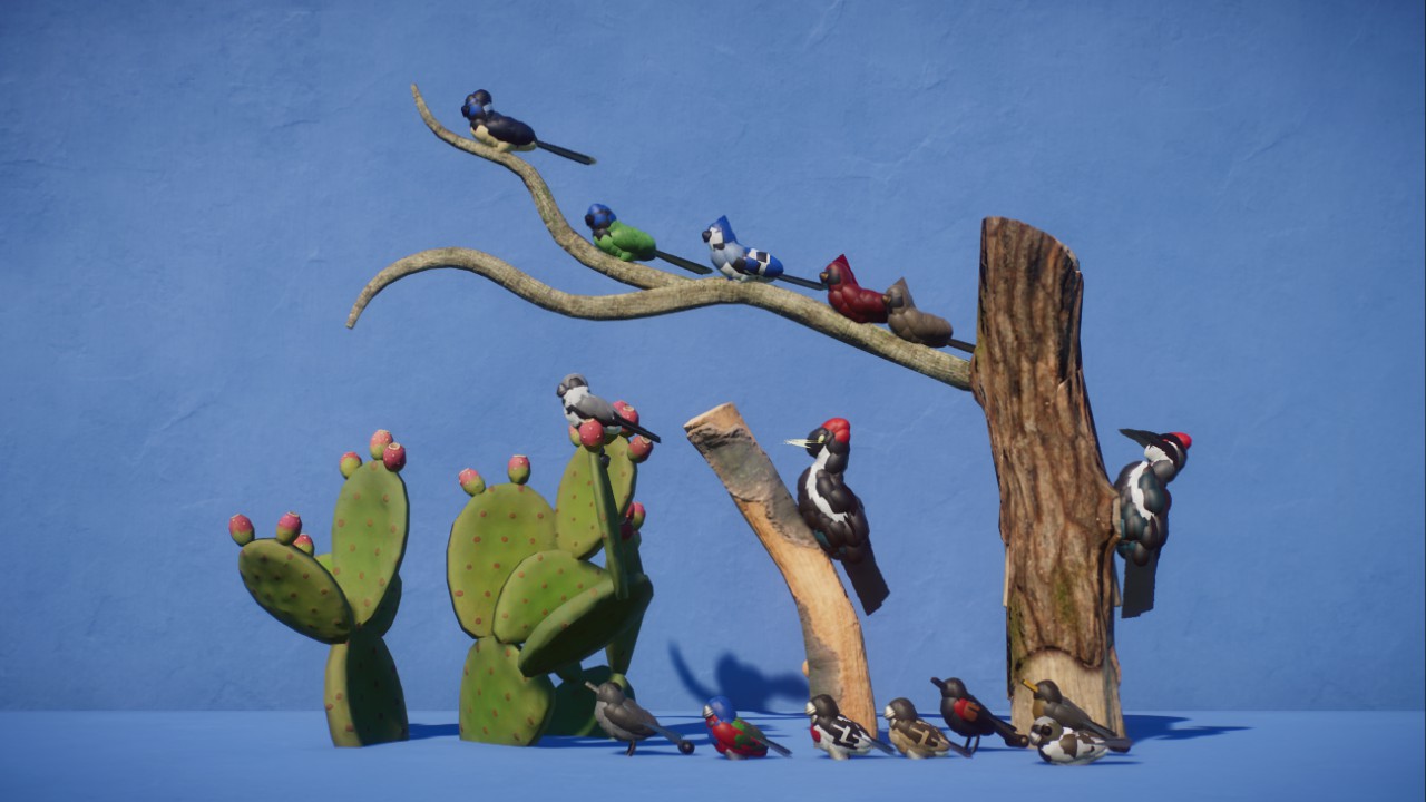 Robustus' American Birds