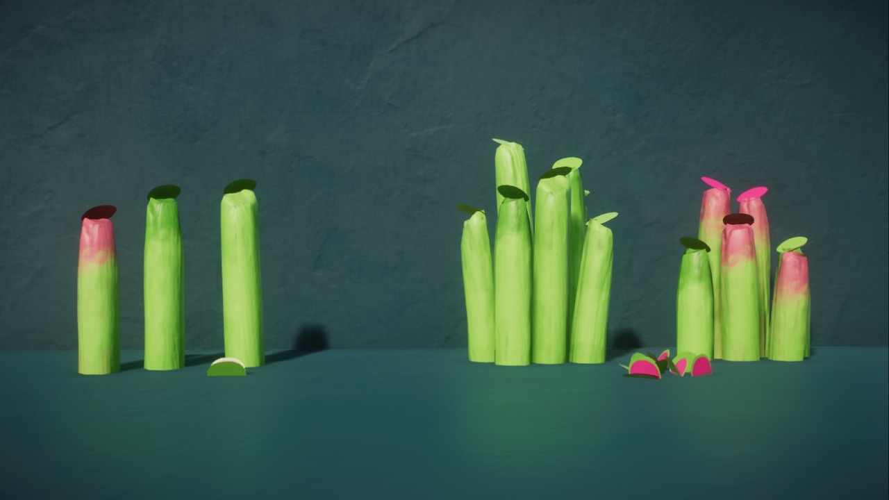 Robustus' Carnivorous Plants
