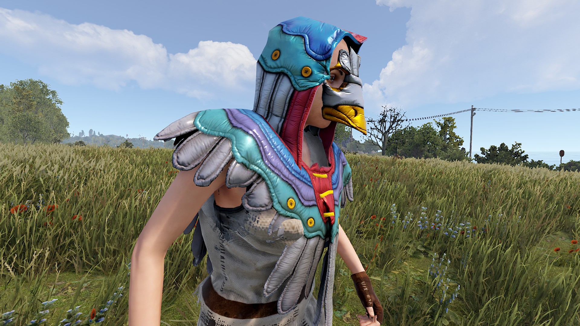 Rooster Poncho thumbnail 3