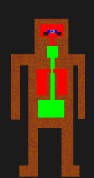 bobs anotomy fixed