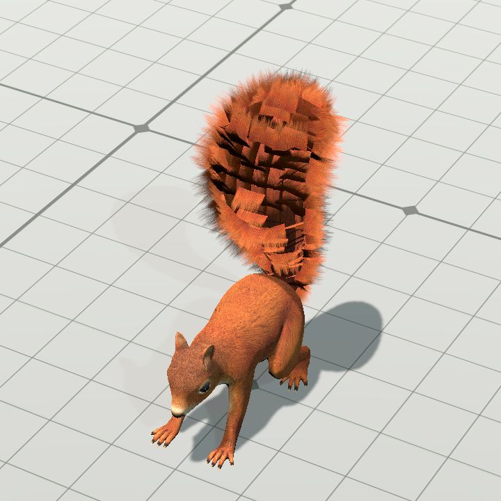 Squirrel