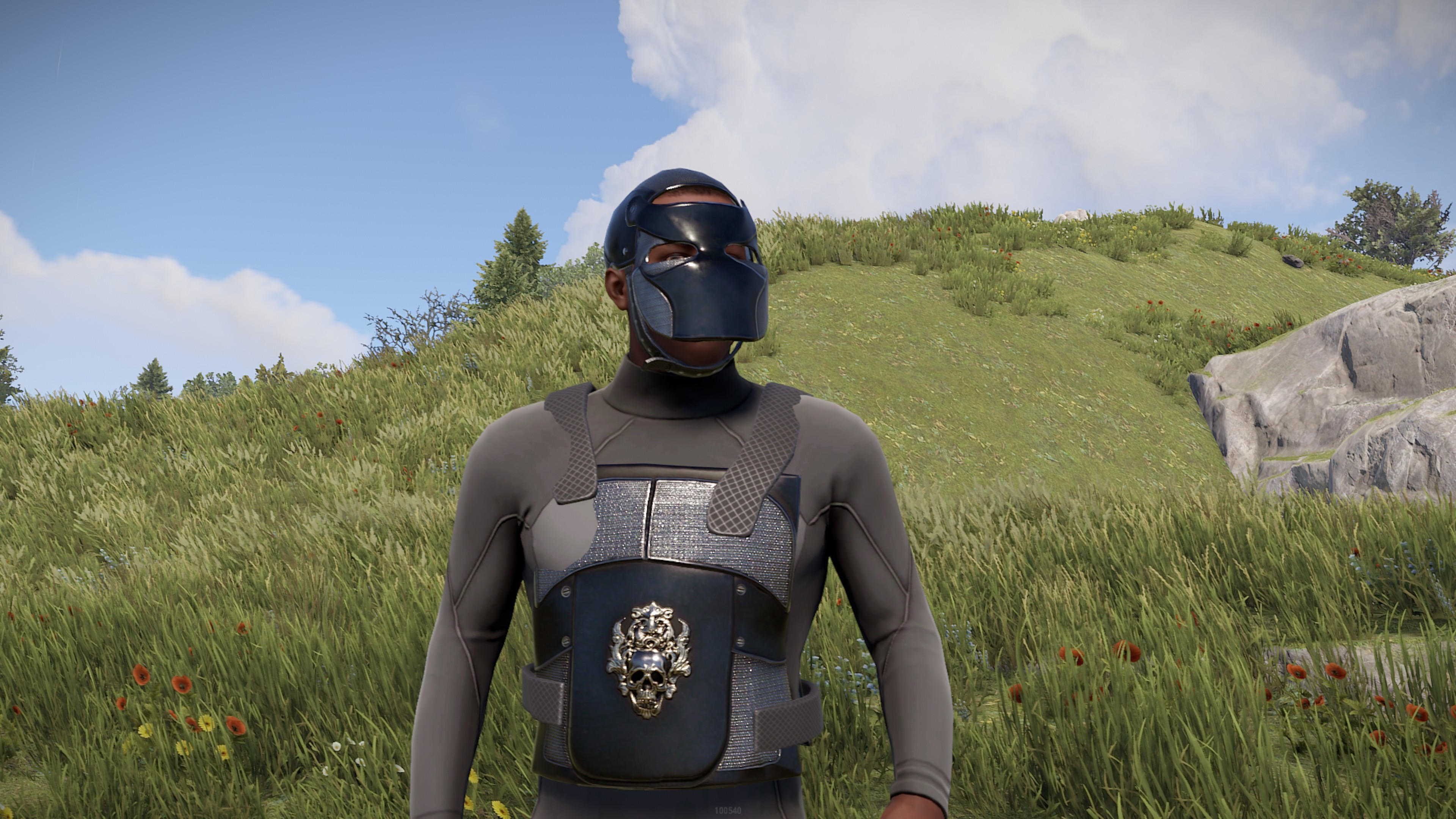 Black Diamond Facemask