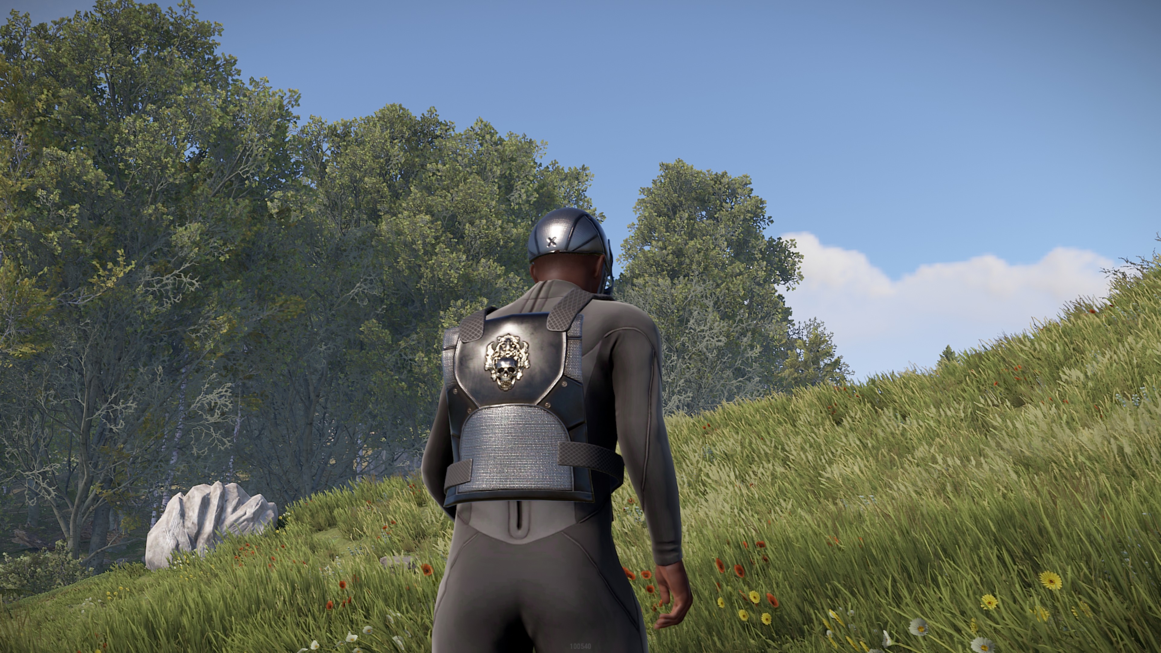 Black Diamond Facemask