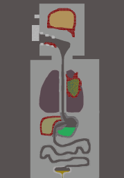 Anatomic Accurate Villager