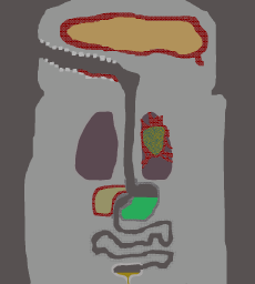 Anatomic Accurate Caseoh