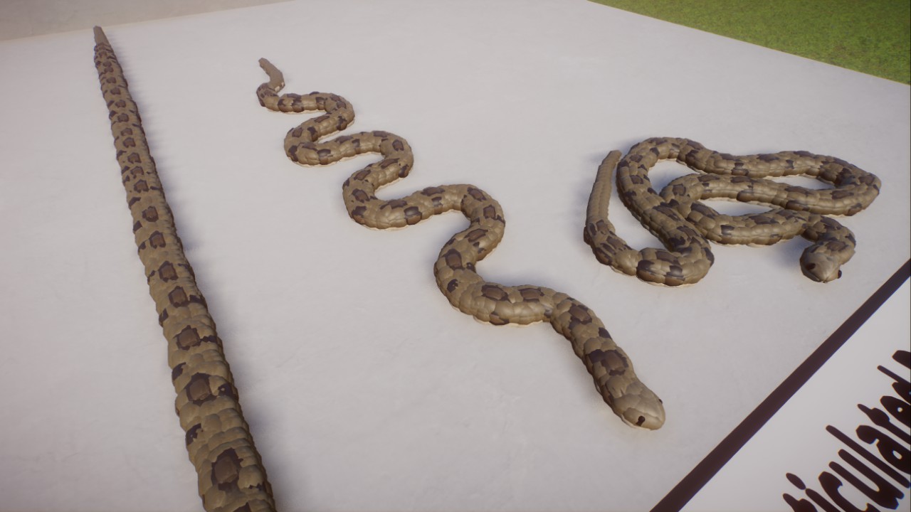 Reticulated Python - Static Reptiles