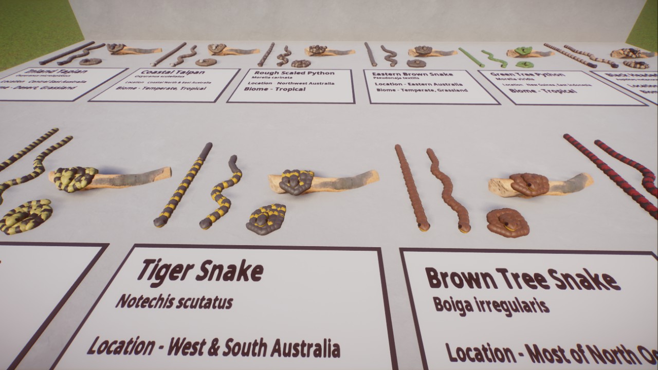 Oceania Snakes Pack - Static Reptiles