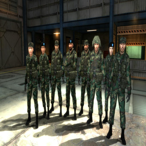 Rebel and Medic WIC Soldier National Guard Replacement
