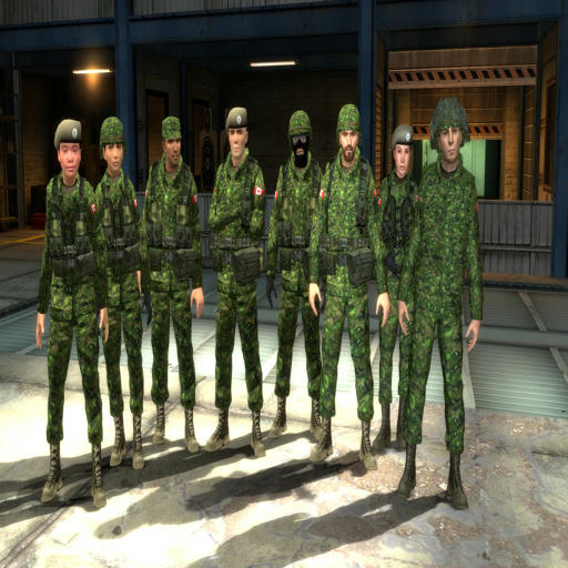 Rebel and Medic WIC Soldier Canadian Army Reskin Replacement