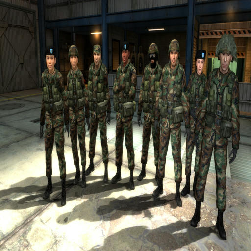 Rebel WIC Soldier National Guard Reskin Replacement