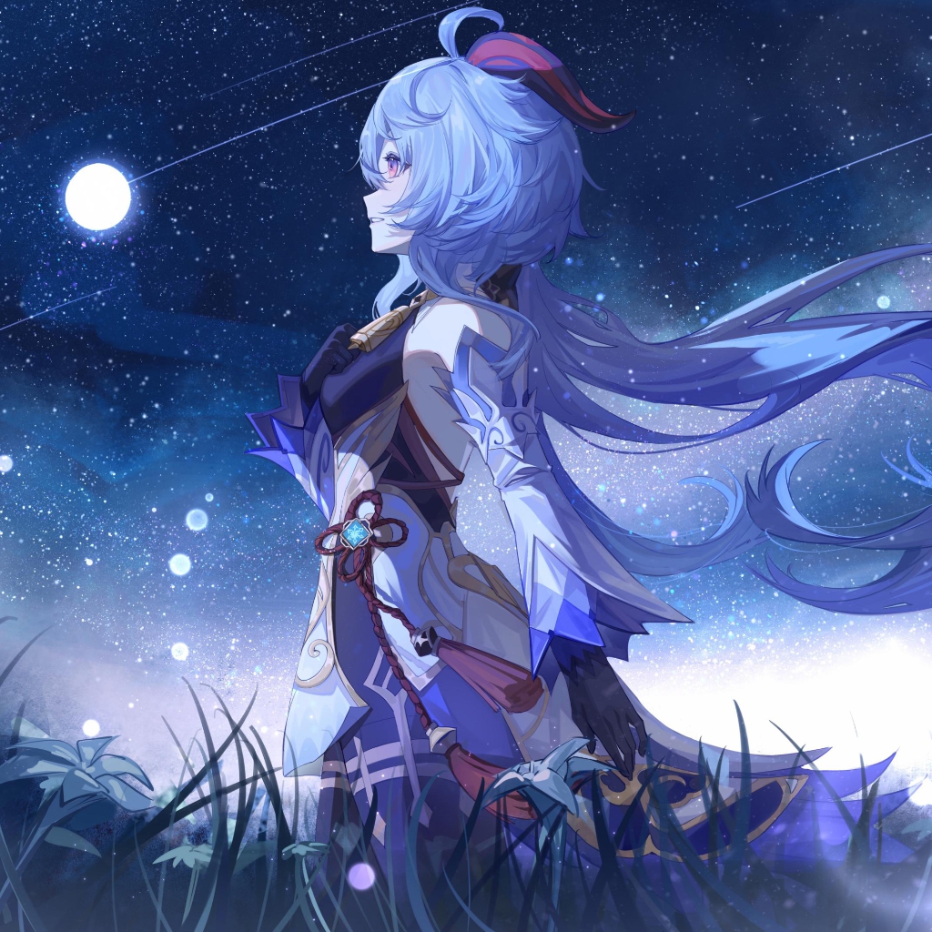 一个人看星空的孤独—Genshin 甘雨