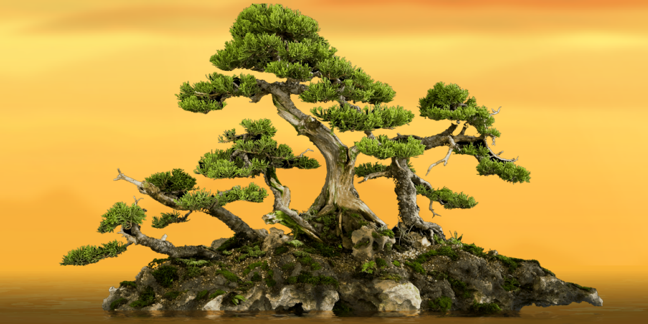 Map Bonsai