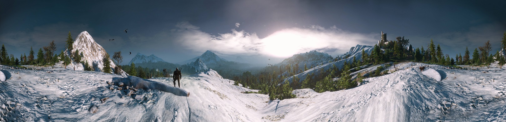 The witcher 3 Snow