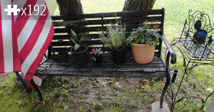 bench