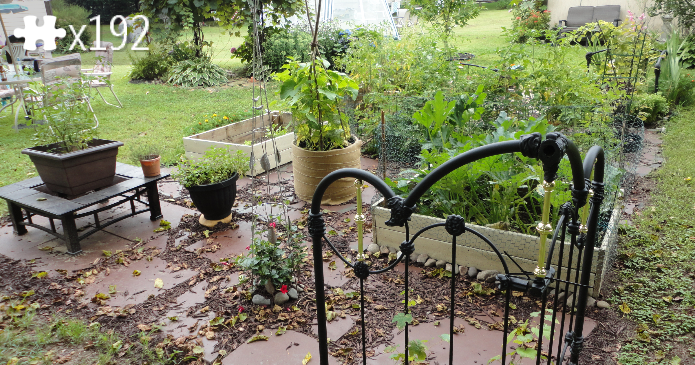 veg garden