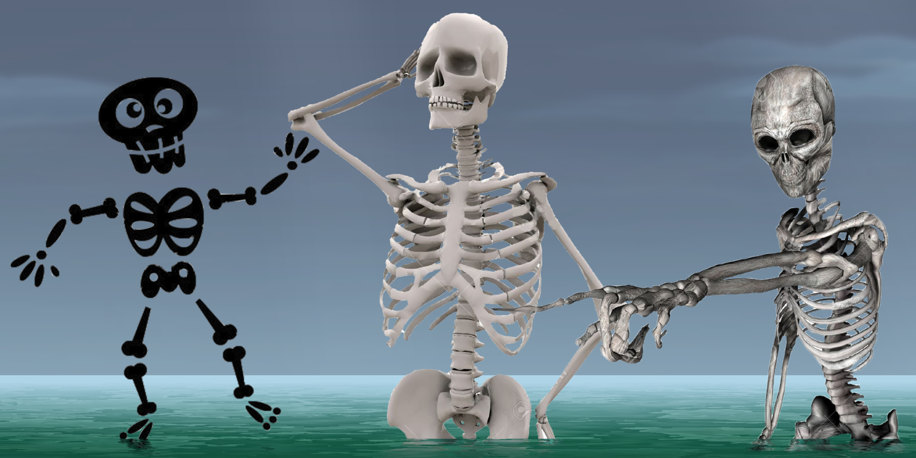Skeletons