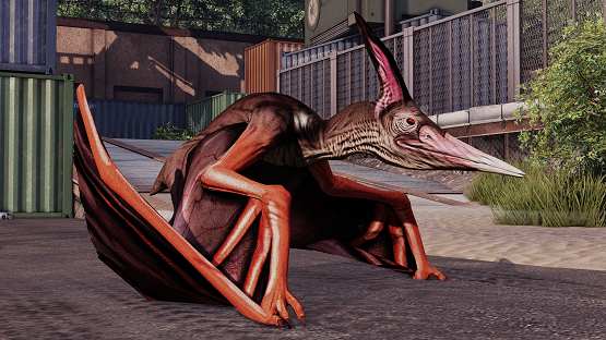 Vampire Bat Ptera