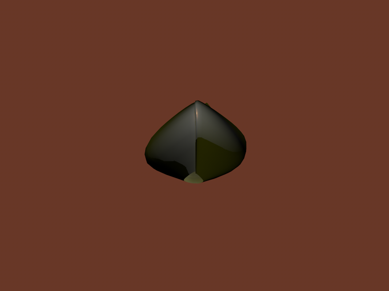 mussel