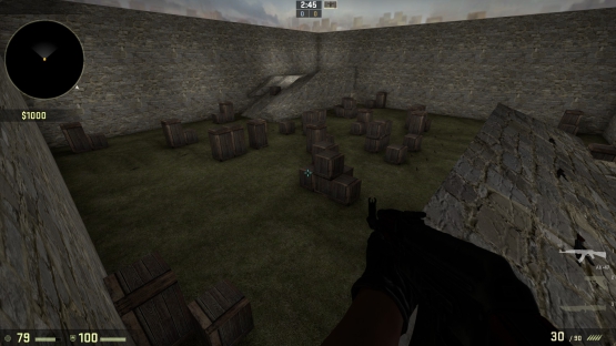 ak 1o1 – Counter-Strike 2 Mod