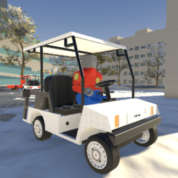 Boberson BR300 (Golf Pro)