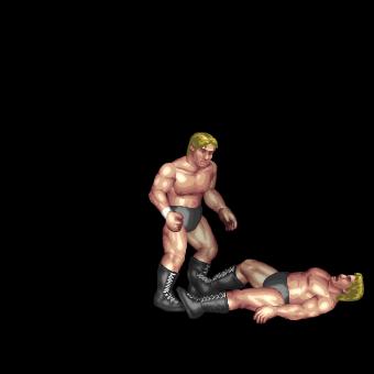 Swanton Bomb + Lionsault