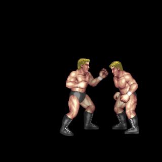 Bionic Elbow (Cody Rhodes)