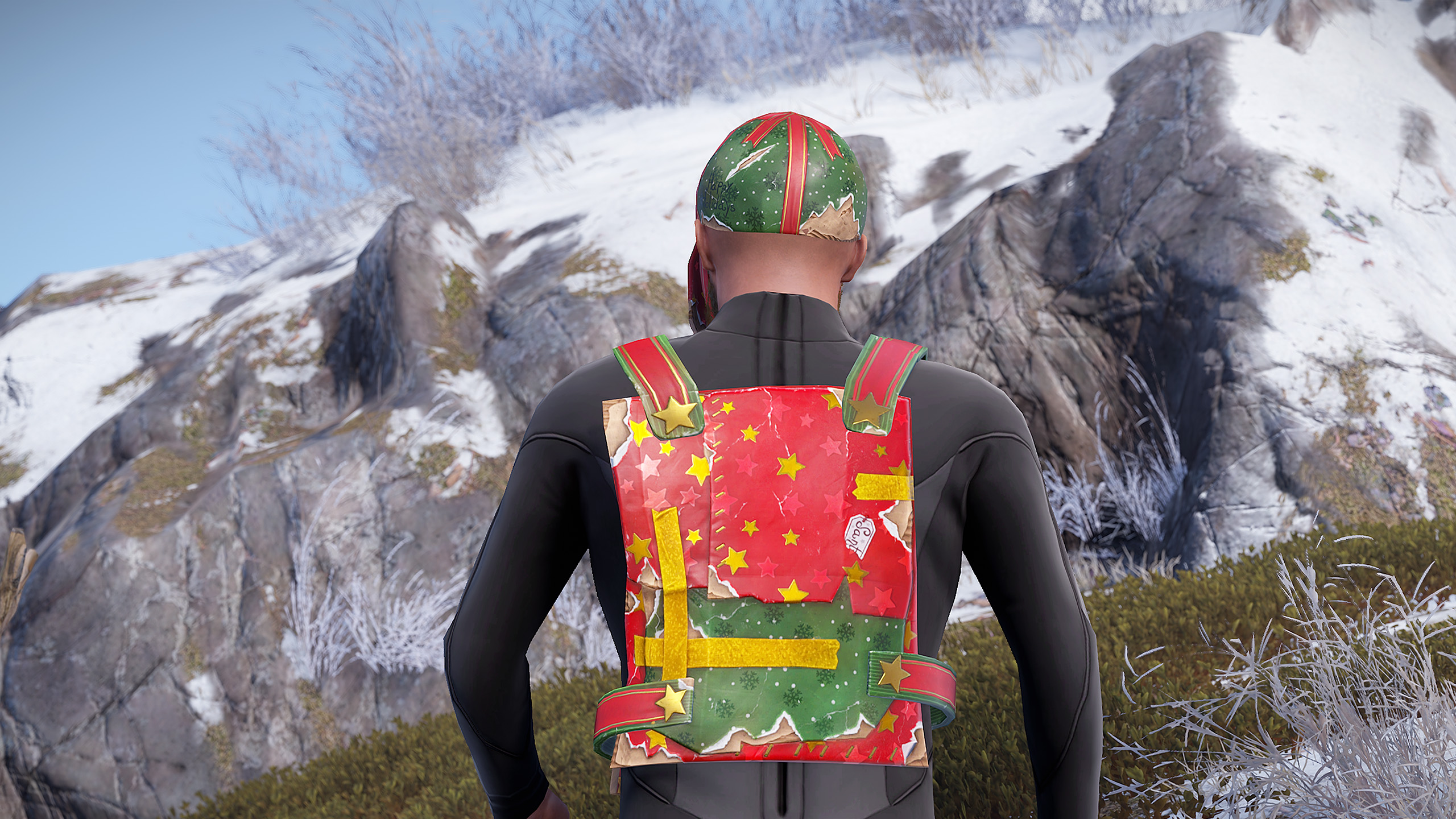 Wrapped Chest Plate