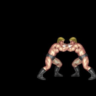 Frankensteiner Whip