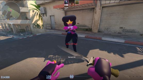 Garnet [CT] – Counter-Strike 2 Mod