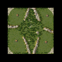 DK_ForestFight