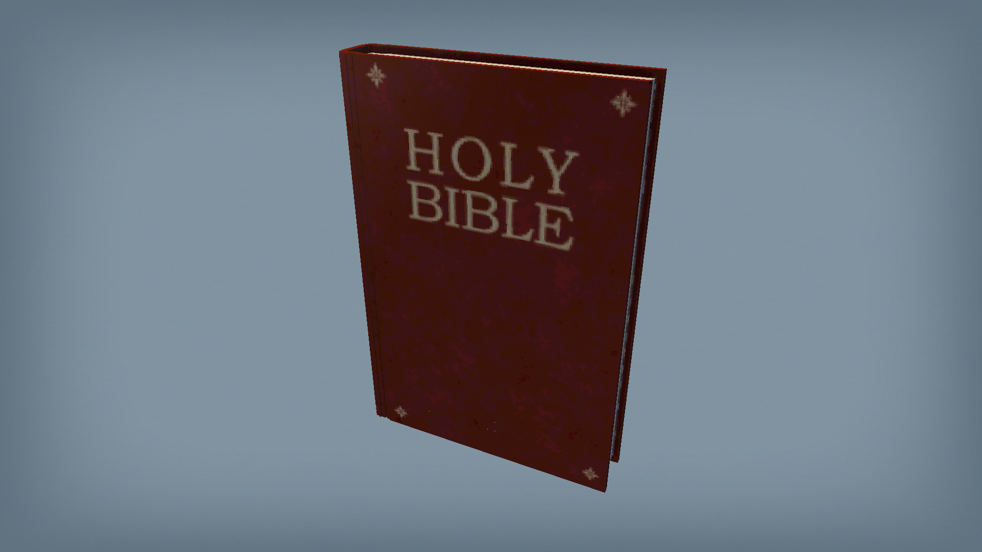 HOLY BIBLE